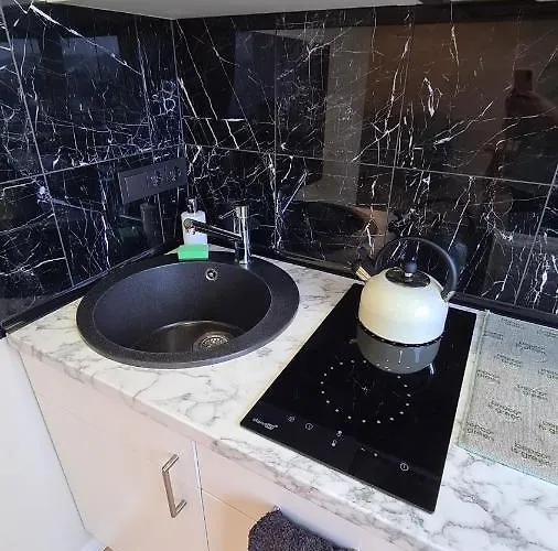 Near The Old Town Lejlighed Kaunas